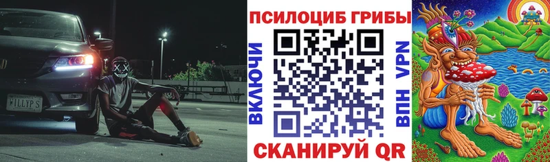 Купить закладки  Якутск  Галлюциногенные грибы Magic Shrooms 