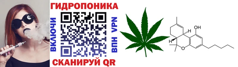 Канабис семена  Купить где  Якутск 